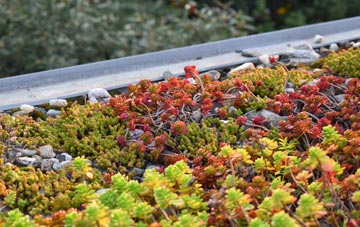 the cost of Allostock green roof installation