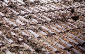 Allostock roof cleaning companies